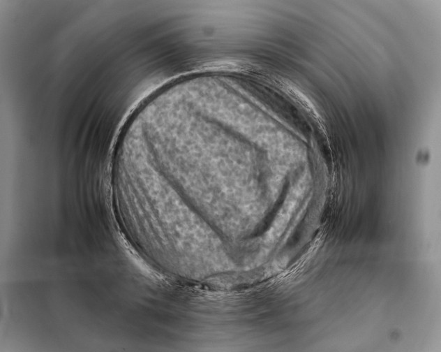 X0000098020800200804181201