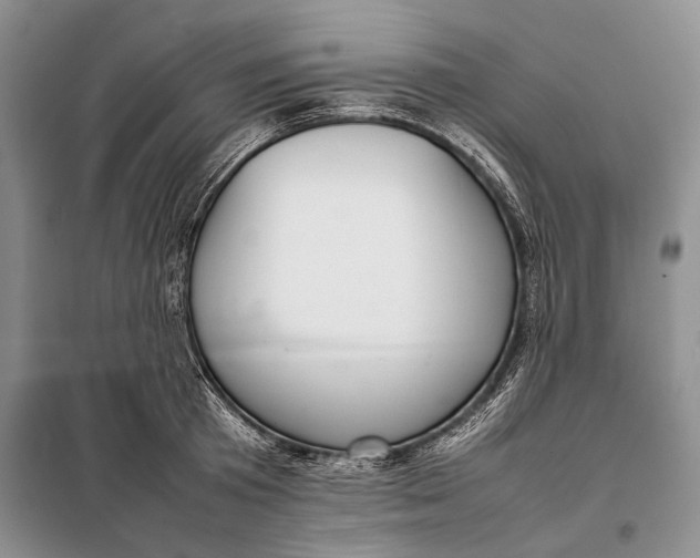 X0000098020801200804181201