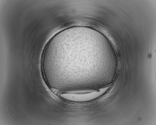 X0000098020803200804181201