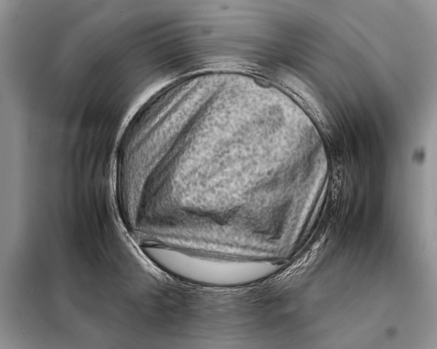 X0000098020804200804181201