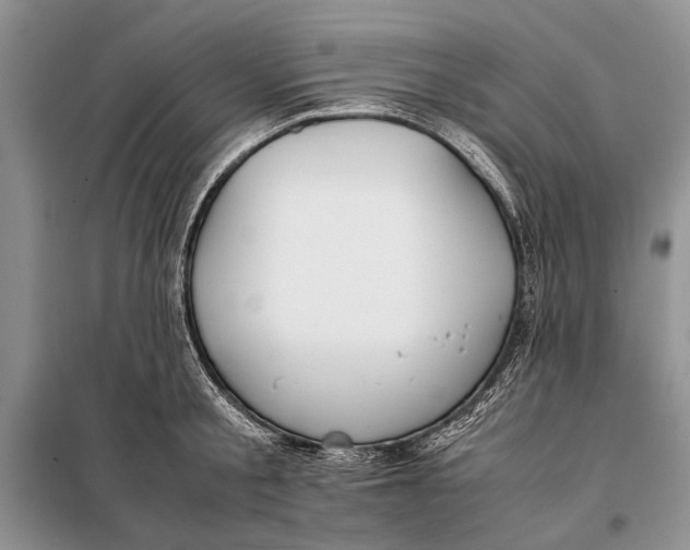 X0000098020805200804181201