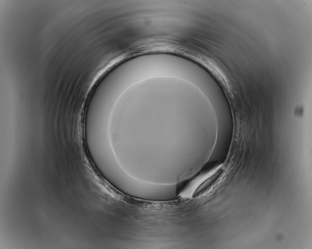 X0000098020806200804181201