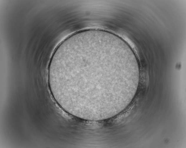 X0000098020807200804181201