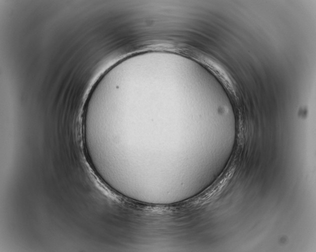X0000098020808200804181201