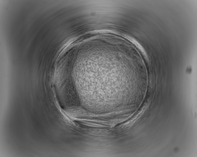 X0000098020809200804181201