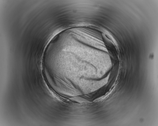 X0000098020810200804181201