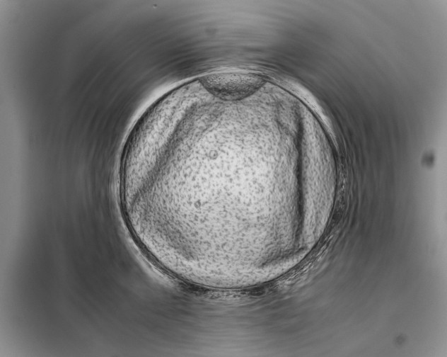 X0000098020811200804181201