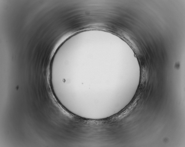 X0000098020812200804181201