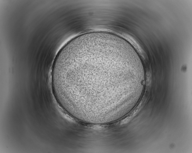 X0000098020814200804181200