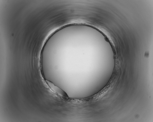 X0000098020815200804181200