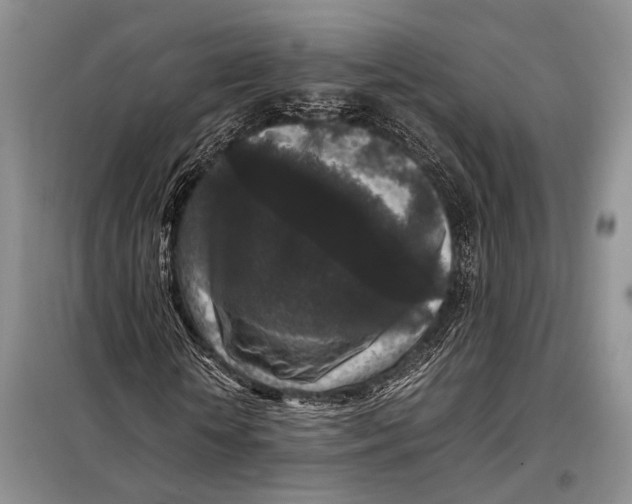 X0000098020818200804181200