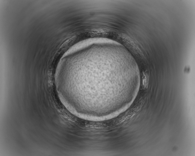 X0000098020819200804181200