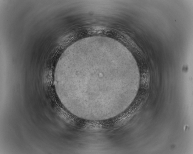 X0000098020820200804181200