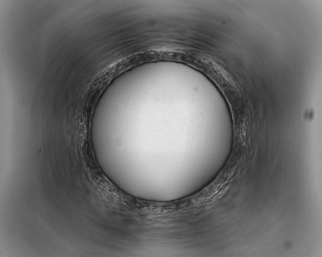 X0000098020821200804181200