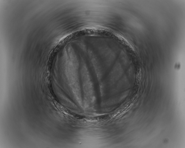 X0000098020822200804181200