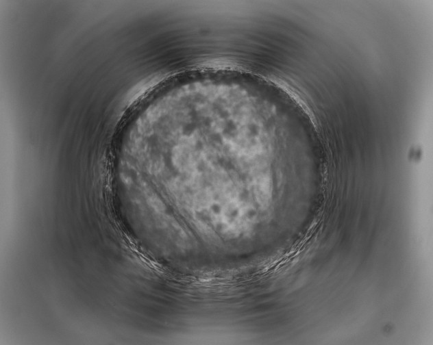 X0000098020823200804181200