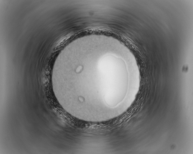 X0000098020824200804181200