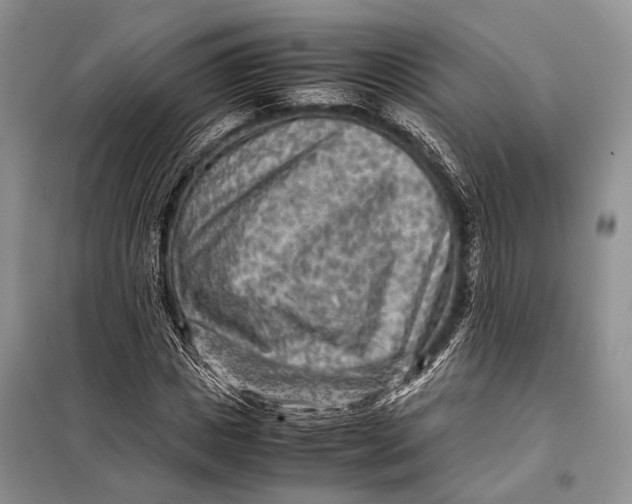 X0000098020825200804181200