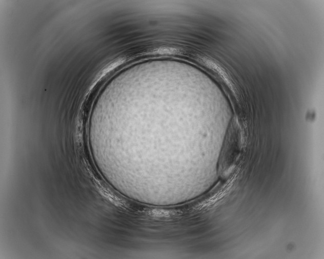 X0000098020827200804181200