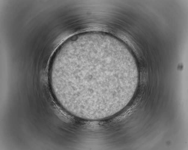 X0000098020828200804181200