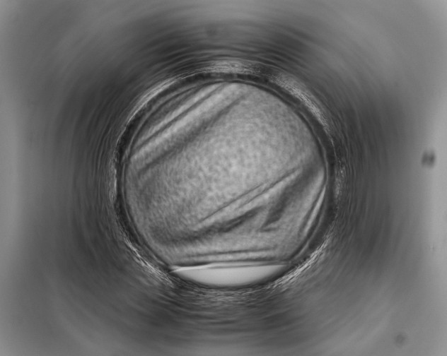 X0000098020829200804181200