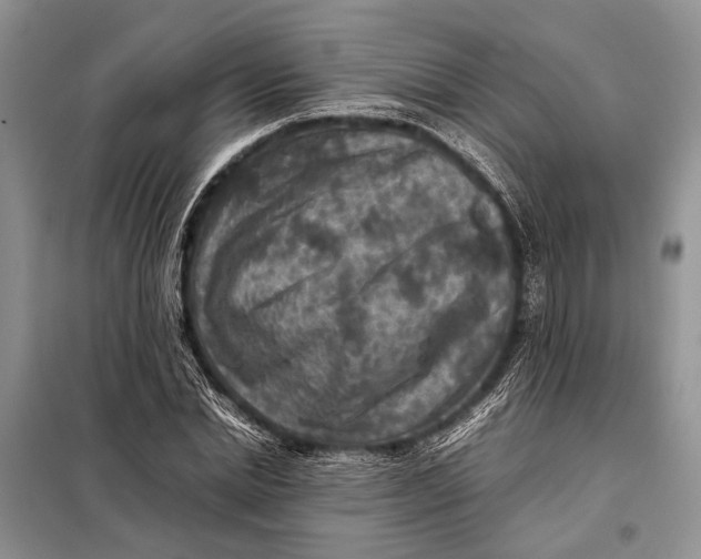 X0000098020830200804181200