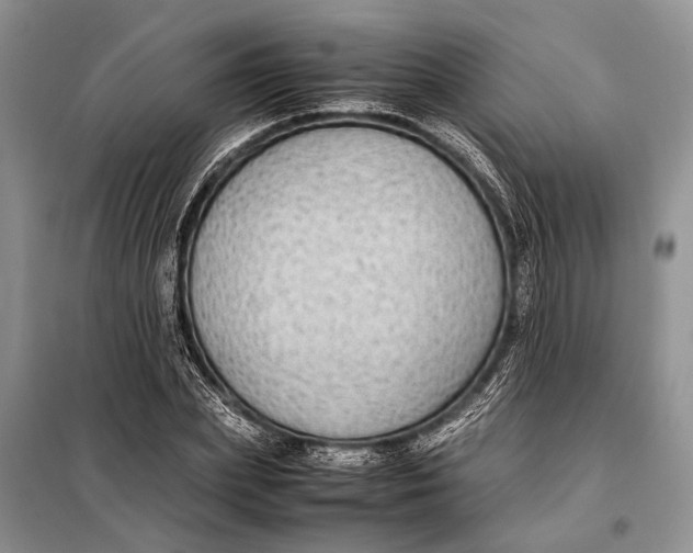 X0000098020831200804181200