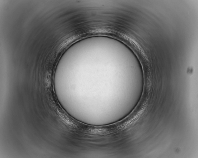 X0000098020833200804181200