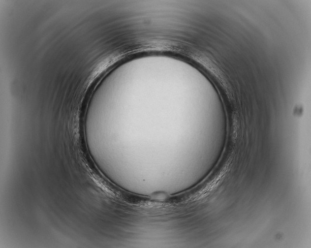 X0000098020834200804181200