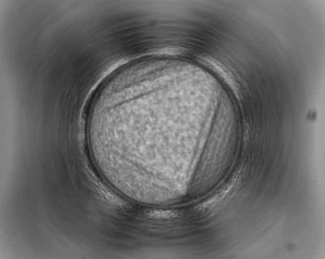 X0000098020835200804181200