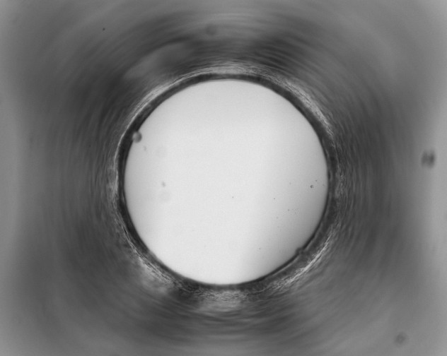 X0000098020837200804181200