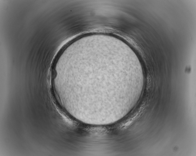 X0000098020838200804181200