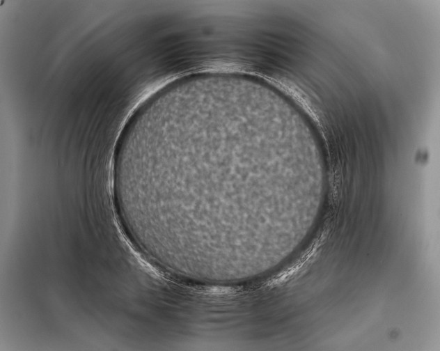 X0000098020839200804181200