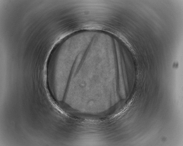 X0000098020840200804181200