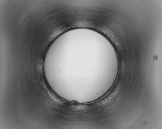 X0000098020841200804181200
