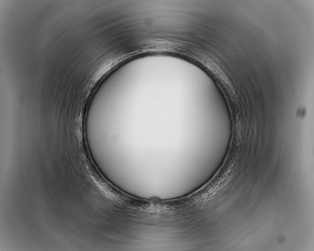 X0000098020842200804181200