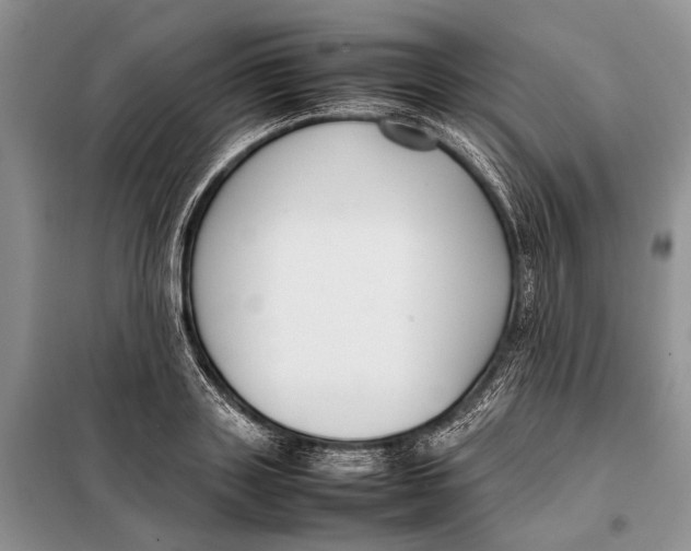 X0000098020843200804181200