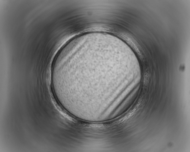 X0000098020844200804181200