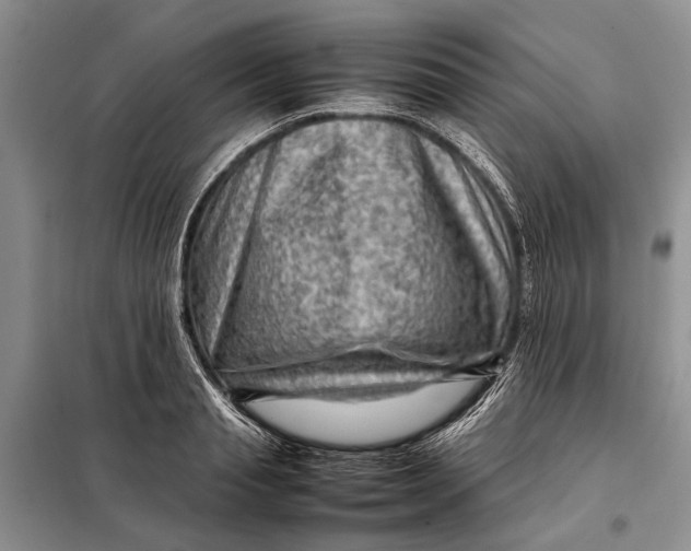 X0000098020845200804181200