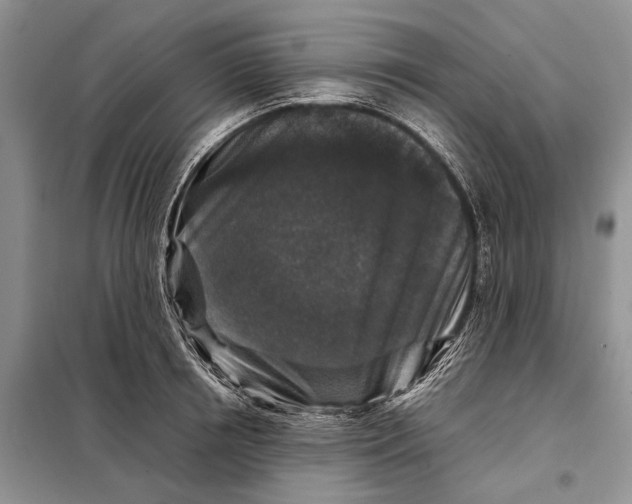 X0000098020850200804181200