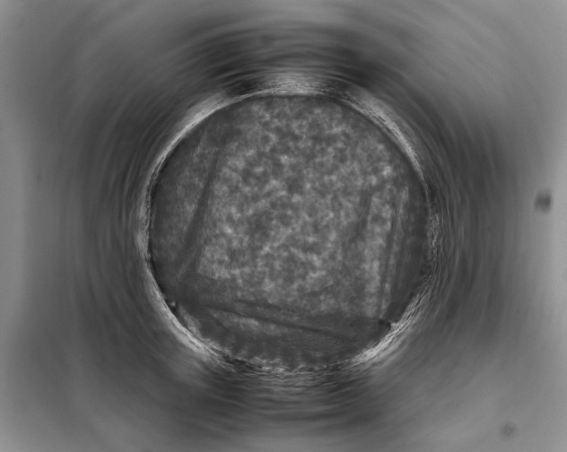 X0000098020851200804181200