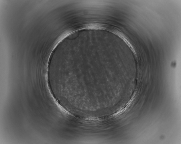 X0000098020853200804181200