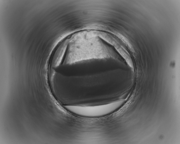 X0000098020854200804181200