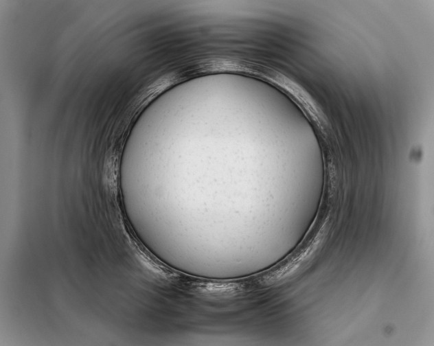 X0000098020857200804181200