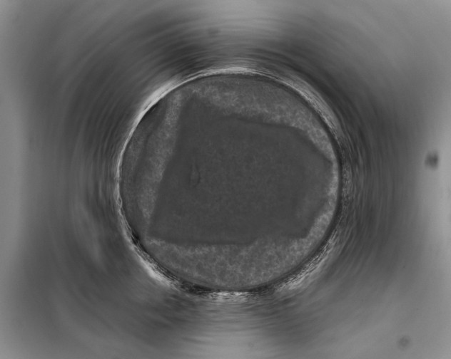 X0000098020858200804181200