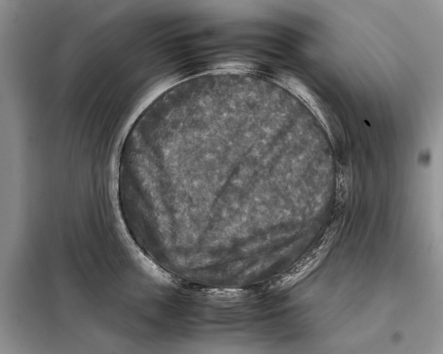 X0000098020859200804181200