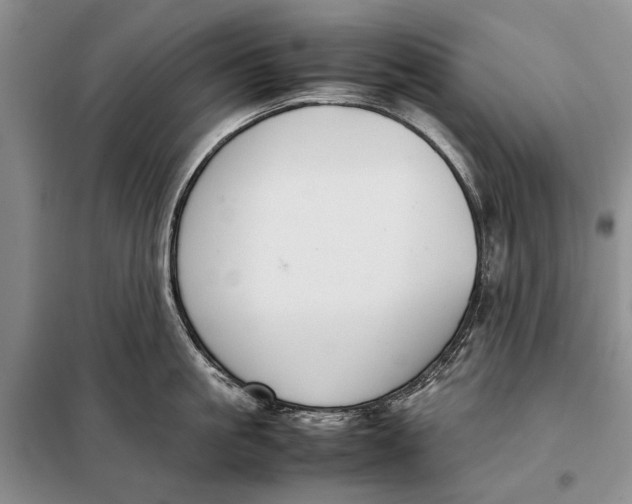 X0000098020861200804181200