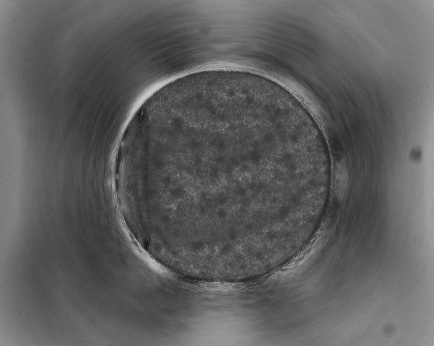 X0000098020862200804181200