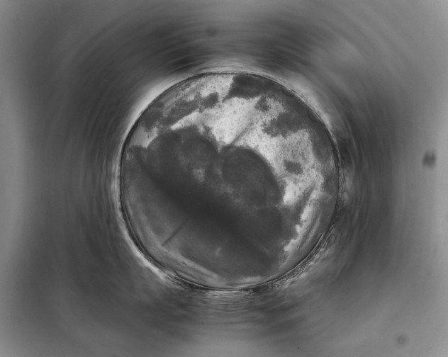 X0000098020863200804181200