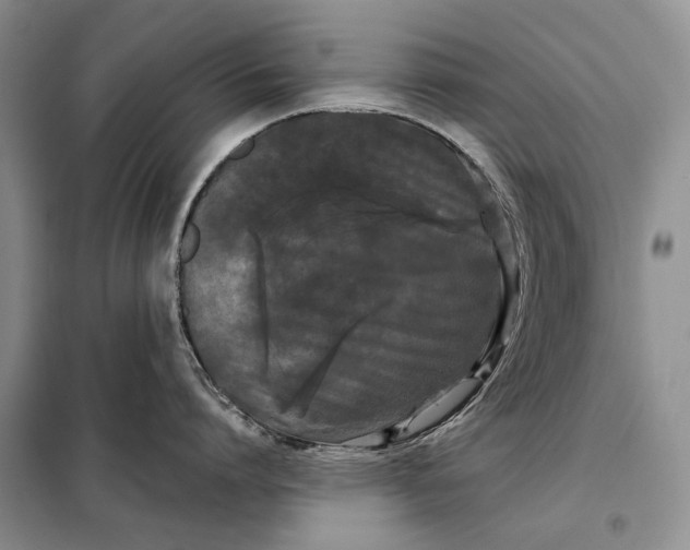 X0000098020864200804181200